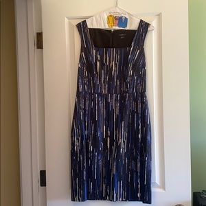 Anne Taylor dress